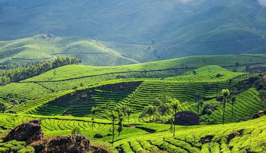 location.php#munnar